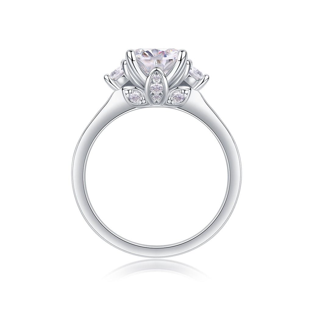 Celestial Brilliance