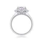 Celestial Brilliance